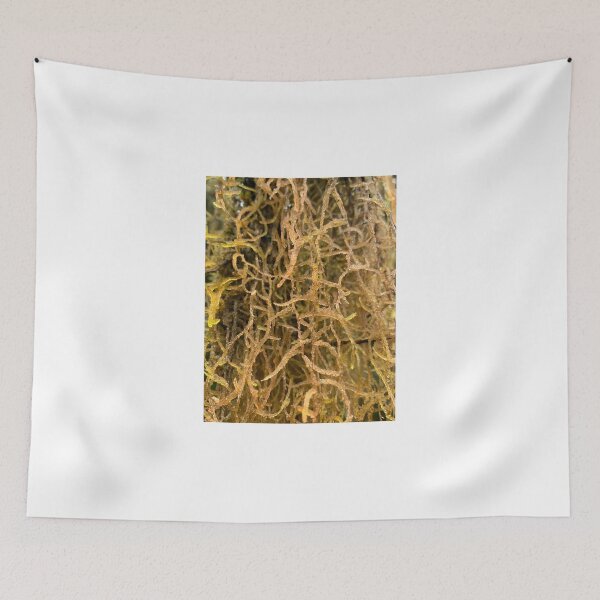 Item preview, Moss designed and sold by Terra Dumont.