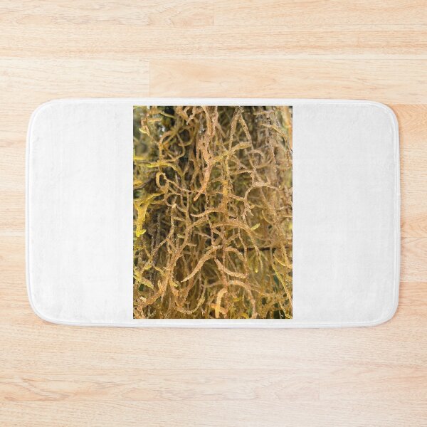 Item preview, Moss designed and sold by Terra Dumont.