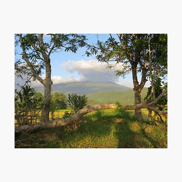 Item preview, Farmland designed and sold by Rene-Martin.