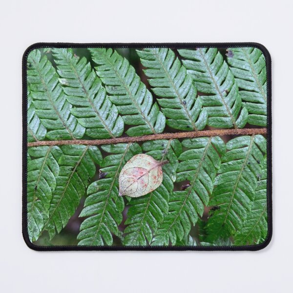 Item preview, Tree fern designed and sold by Terra Dumont.