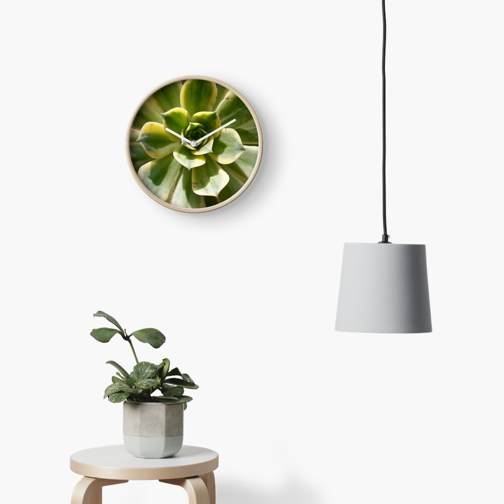 Succulent in the Sun Clock