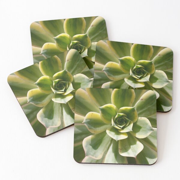 Aperçu de l'œuvre Succulent au soleil créée et vendue par Douglas E. Welch Design and Photography.