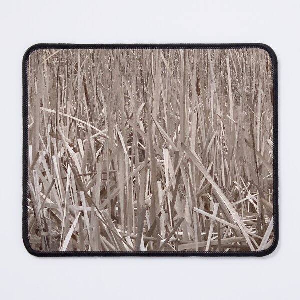 Item preview, Cattails designed and sold by Terra Dumont.