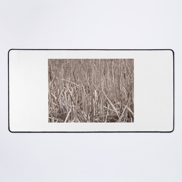 Item preview, Cattails designed and sold by Terra Dumont.