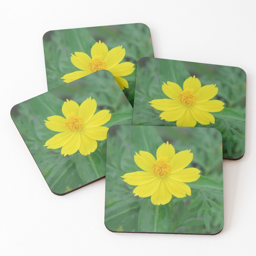 Item preview, Coasters (Set of 4) designed and sold by Rene-Martin.