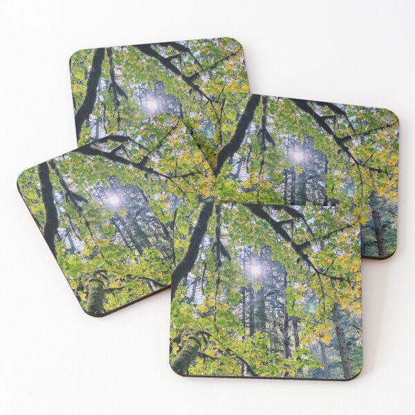 Item preview, Sunshine Sun Christian Trees Nature Creation He Lives Oregon designed and sold by CreationViewArt.