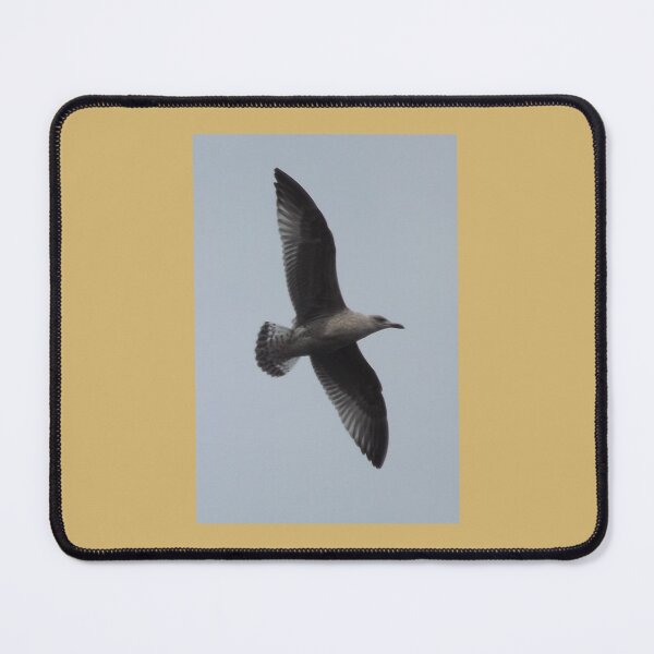Item preview, Seagull in flight designed and sold by Joanne Babb.