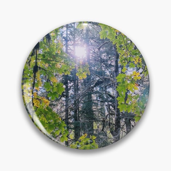 Item preview, Sunshine Sun Christian Trees Nature Creation He Lives Oregon designed and sold by CreationViewArt.