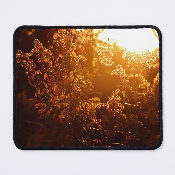 Item preview, Goldenrod in Golden Light designed and sold by cuprum.