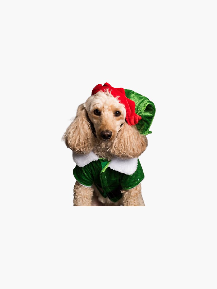 "Dog in Elf Costume Christmas Sticker" Sticker for Sale by cindyjaahn