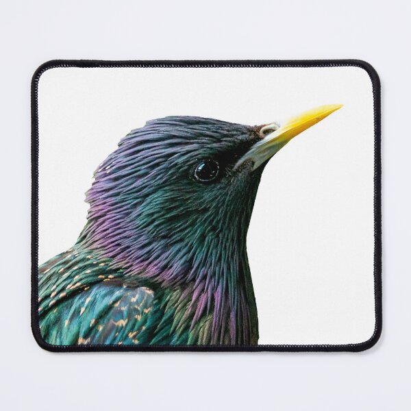 Item preview, My Starling designed and sold by Dalyndigital Photography.