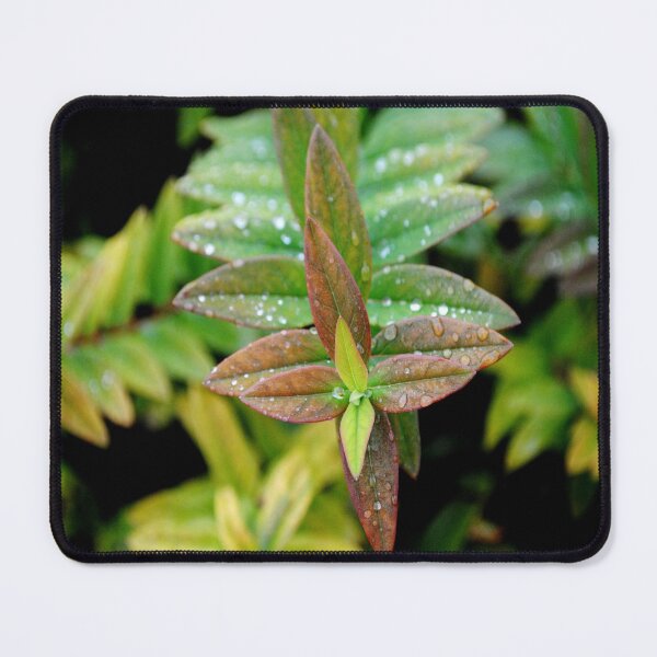 Item preview, Relief. designed and sold by Tableaux51.