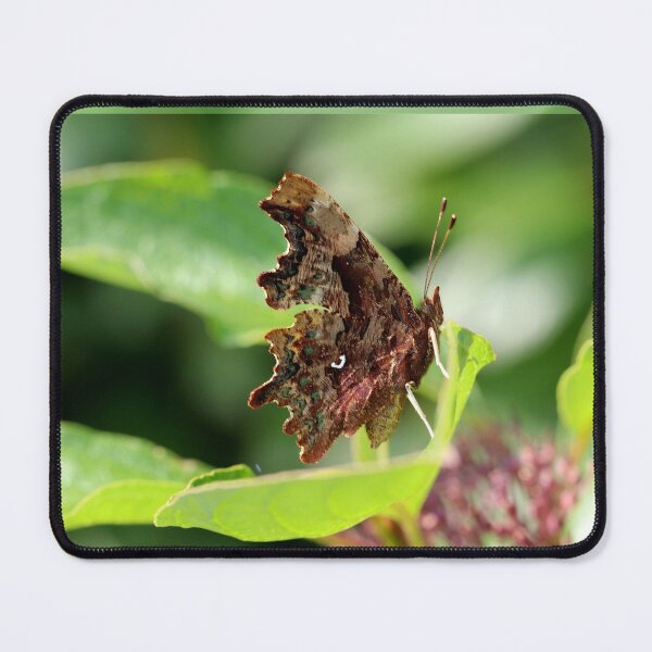 Item preview, Comma designed and sold by cuprum.