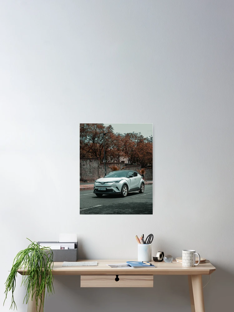 Imagen 2 de 3, Póster con la obra CH-R, diseñada y vendida por DBangs.