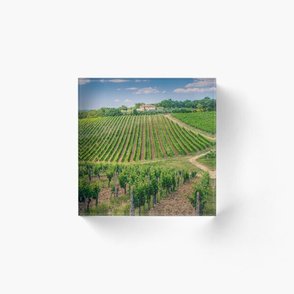 Chianti Region, Italy Acrylic Block