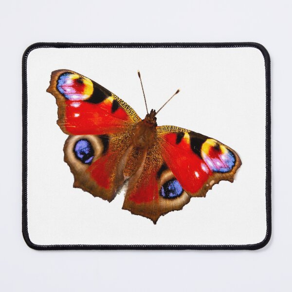 Item preview, Proud as a Peacock designed and sold by Dalyndigital Photography.