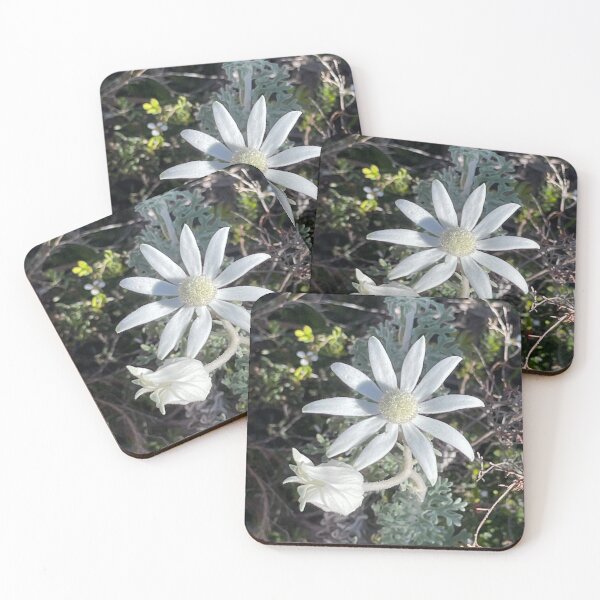 Item preview, Fabulous Flannel Flowers designed and sold by KazM.