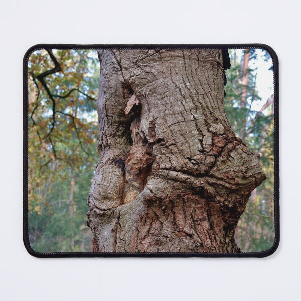 Item preview, Is it a Bird? Is it a Tree? designed and sold by cuprum.