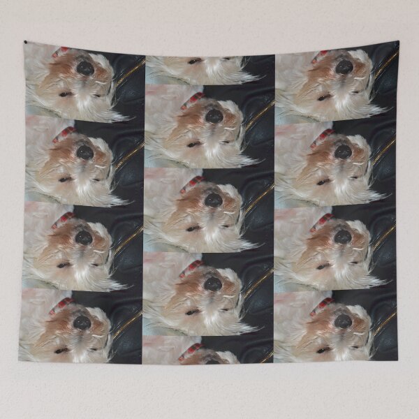 Item preview, l can see you.............. designed and sold by lynn carter.