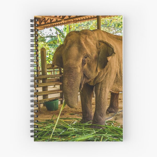 Item preview, Elephant hospital in Thailand designed and sold by Funkylikeabee.