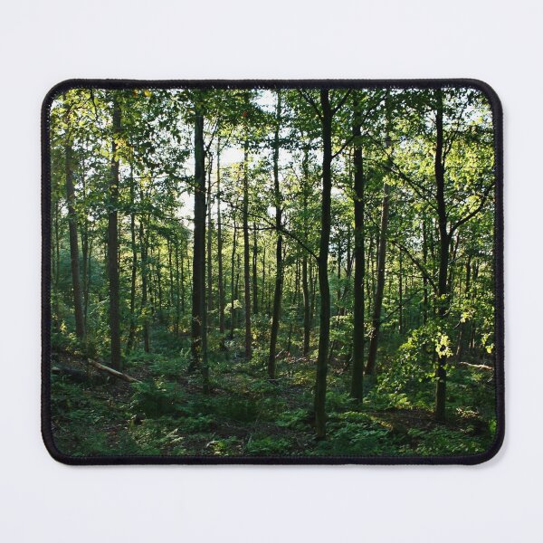 Item preview, A walk in the woods designed and sold by Funkylikeabee.