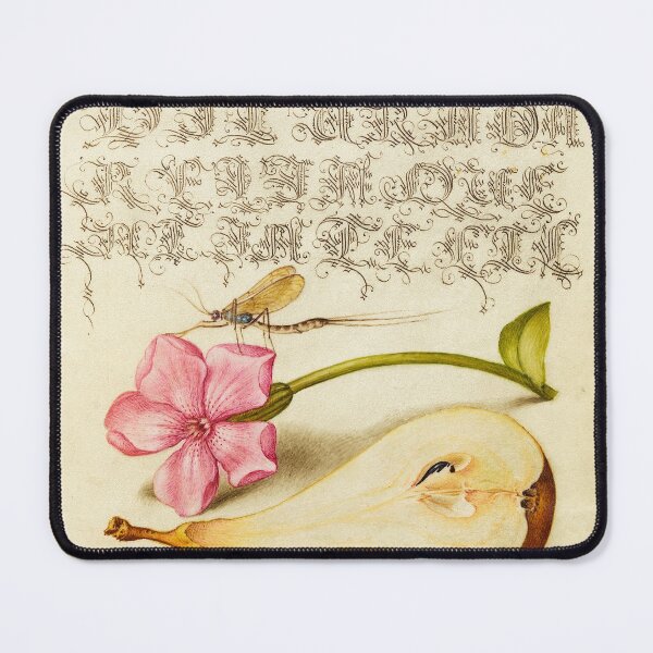 Item preview, Naturalist Manuscript Fruit, Flower and Insect Illumination: Mayfly, Red Campion, and Pear by Joris Hoefnagel  designed and sold by Naturalist Prints.