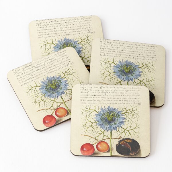 Item preview, Naturalist Manuscript Fruits and Flower Illumination: Love-in-a-Mist, Sweet Cherry, and Spanish Chestnut by Joris Hoefnagel  designed and sold by Naturalist Prints.