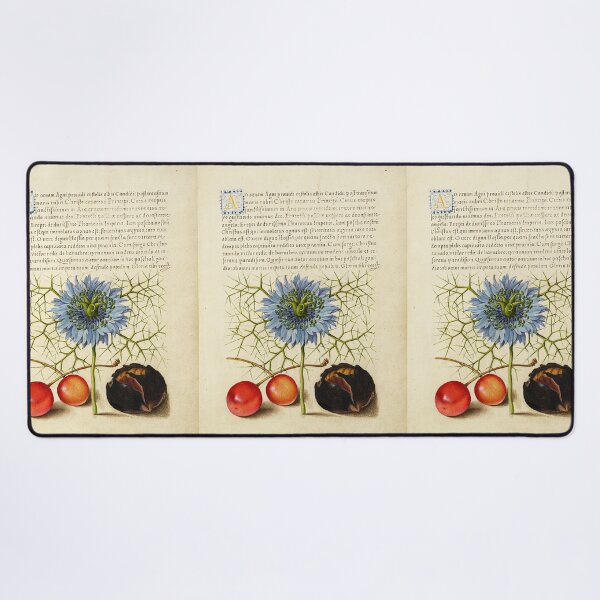 Item preview, Naturalist Manuscript Fruits and Flower Illumination: Love-in-a-Mist, Sweet Cherry, and Spanish Chestnut by Joris Hoefnagel designed and sold by Naturalist Prints.