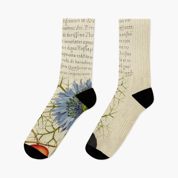 Item preview, Naturalist Manuscript Fruits and Flower Illumination: Love-in-a-Mist, Sweet Cherry, and Spanish Chestnut by Joris Hoefnagel  designed and sold by Naturalist Prints.