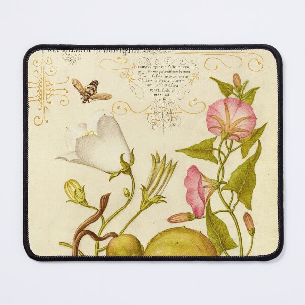 Item preview, Naturalist Manuscript Vegetable, Flowers and Insect Illumination: Fly or Blister Beetle, Willow Bellflower, Gourd, and Bindweed by Joris Hoefnagel designed and sold by Naturalist Prints.