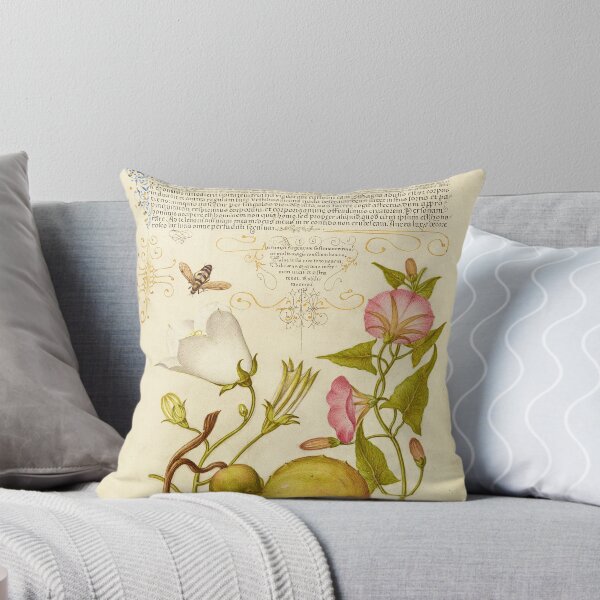 Item preview, Naturalist Manuscript Vegetable, Flowers and Insect Illumination: Fly or Blister Beetle, Willow Bellflower, Gourd, and Bindweed by Joris Hoefnagel  designed and sold by Naturalist Prints.
