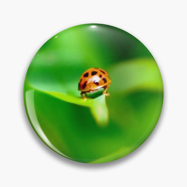 Artikelvorschau, Lady Bug entworfen und verkauft von dubroyale.