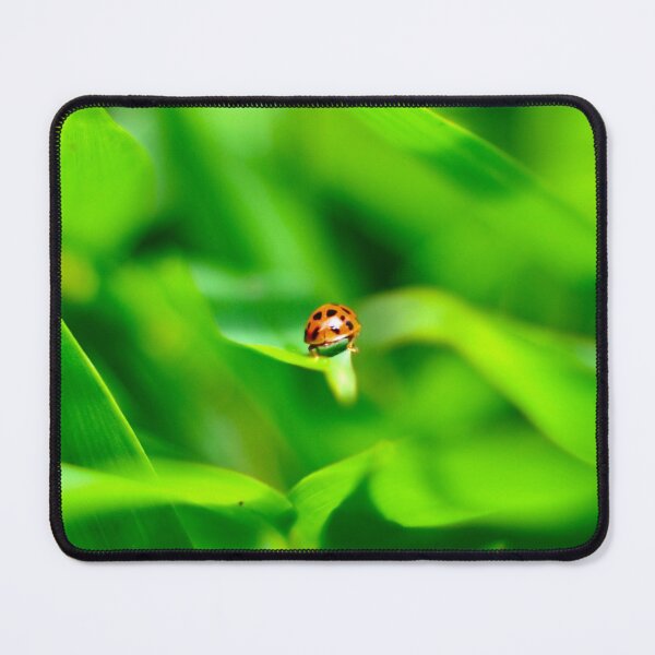 Item preview, Lady Bug designed and sold by dubroyale.