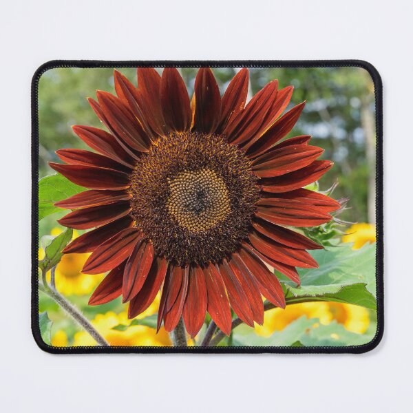 Item preview, Red Sunflower designed and sold by onepony.