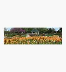 Floral Flowers Garden Photographic Print