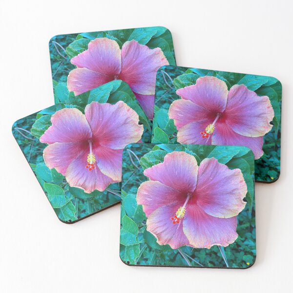 Item preview, Multi-Coloured China Rose designed and sold by Sinemathk.