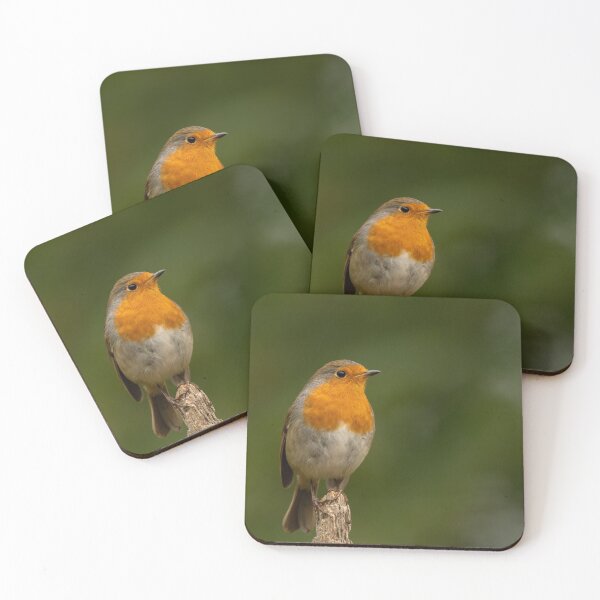 Item preview, Robin perched designed and sold by JackBranscombe.