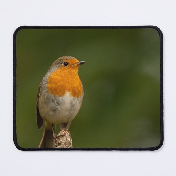 Item preview, Robin perched designed and sold by JackBranscombe.