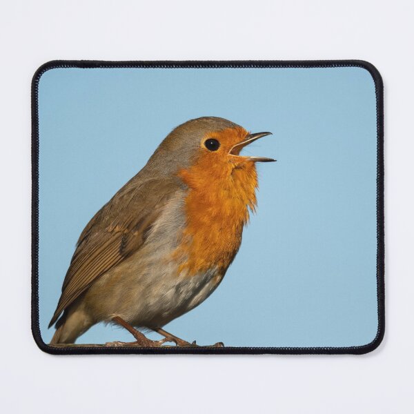 Item preview, Robin Singing designed and sold by JackBranscombe.