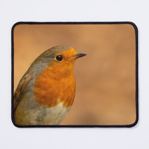Item preview, Close up Robin designed and sold by JackBranscombe.