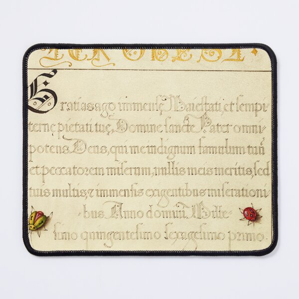Item preview, Naturalist Manuscript Illumination: Calligraphy and Beetlelike Insects by Joris Hoefnagel designed and sold by Naturalist Prints.