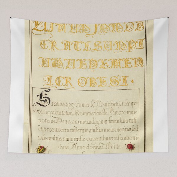 Item preview, Naturalist Manuscript Illumination: Calligraphy and Beetlelike Insects by Joris Hoefnagel  designed and sold by Naturalist Prints.