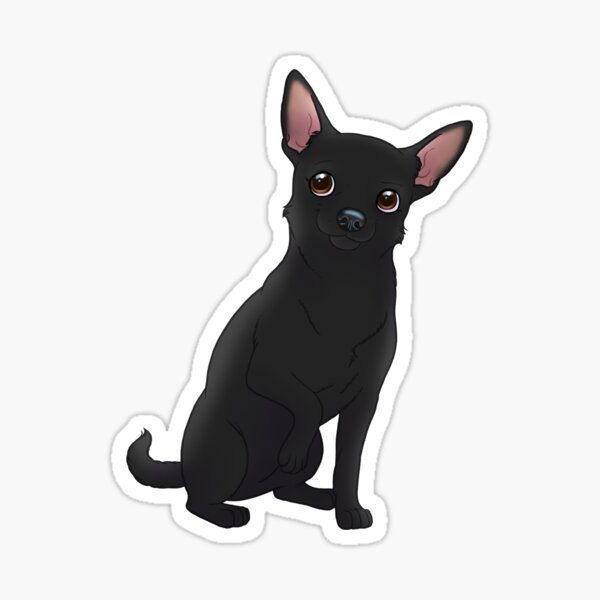 Black short hair chihuahua Sticker