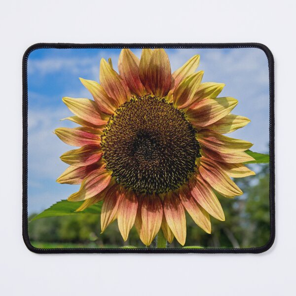 Item preview, Sunny Sunflower designed and sold by onepony.