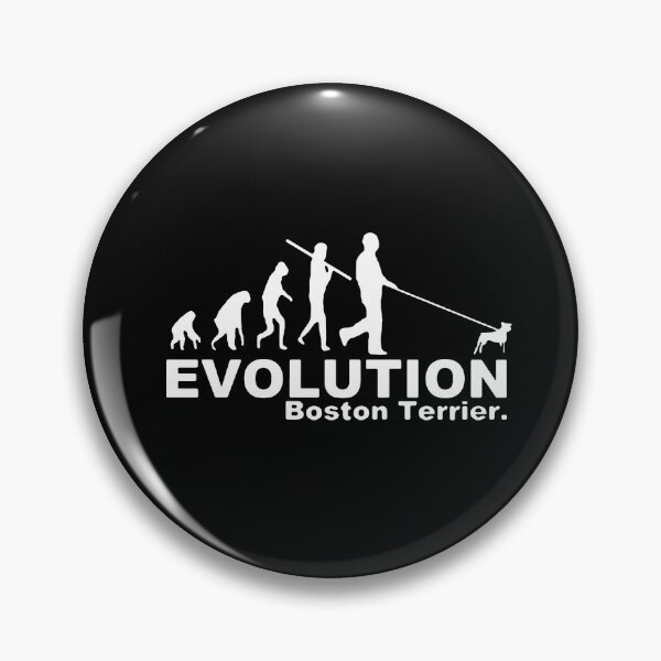 Item preview, Evolution Dog Walker Boston Terrier Essential Love Pet Love Dog Gift Premium Apparel Funny Holiday Xmas designed and sold by DesignByHeartUK.
