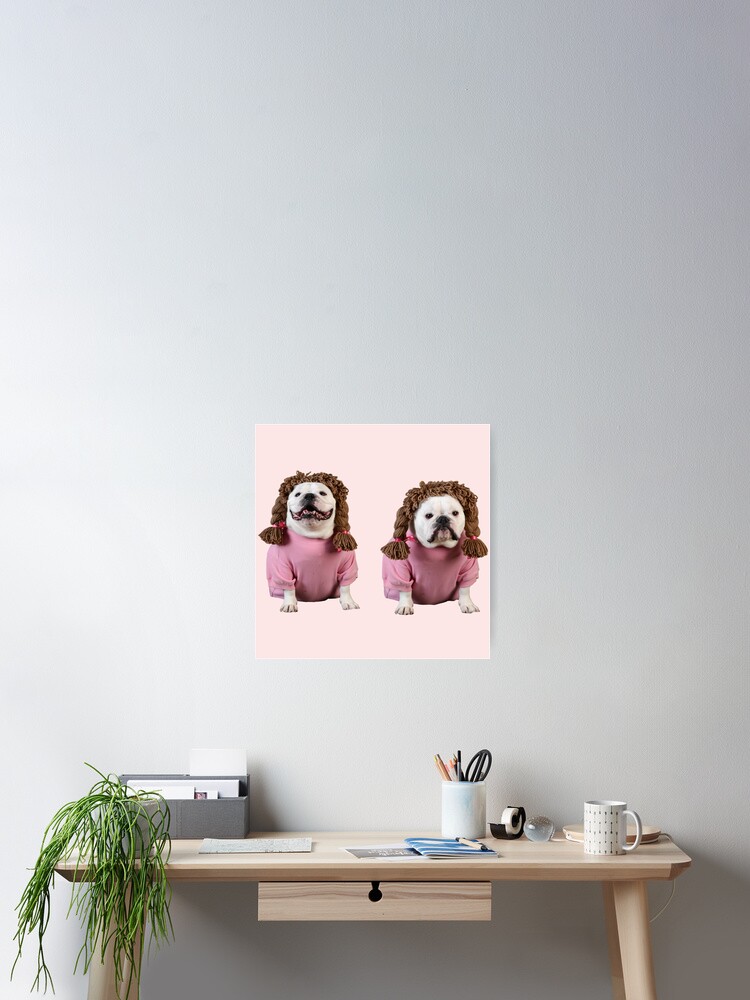 Two set of dogs happy face and sad face funny expressions Two set of dogs happy face and sad face funny expressions