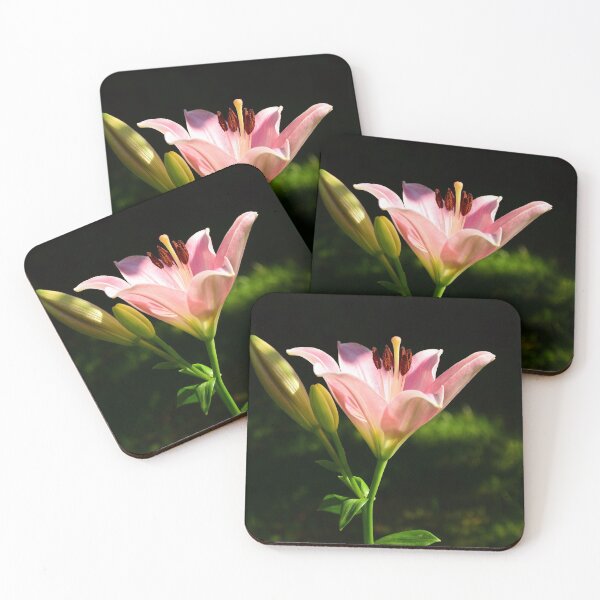 Item preview, Pink Scented Lily under the apple tree. designed and sold by JonDelorme.