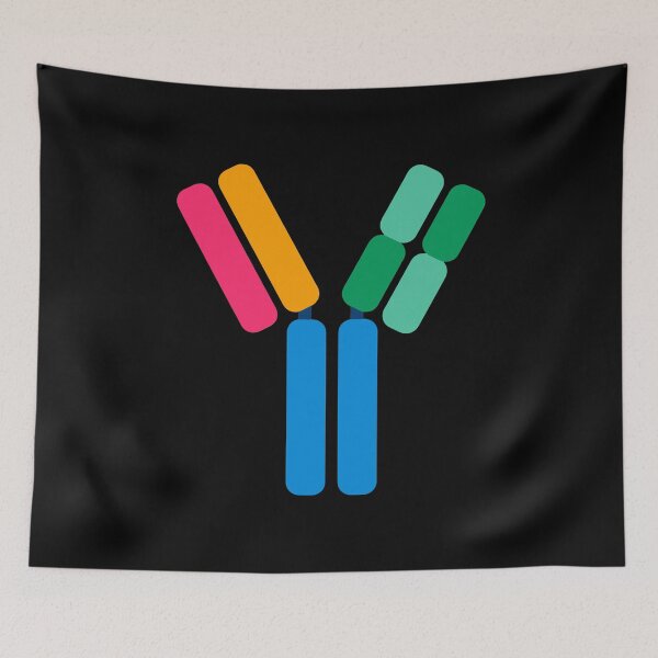 Item preview, Colourful Antibody Structure Biology Diagrams designed and sold by labstud.