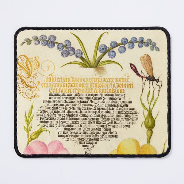 Item preview, Naturalist Manuscript Insects and Flowers Illumination: Grape Hyacinth, Wasplike Insect, Eglantine, Austrian Brier, and Magpie Moth by Joris Hoefnagel designed and sold by Naturalist Prints.