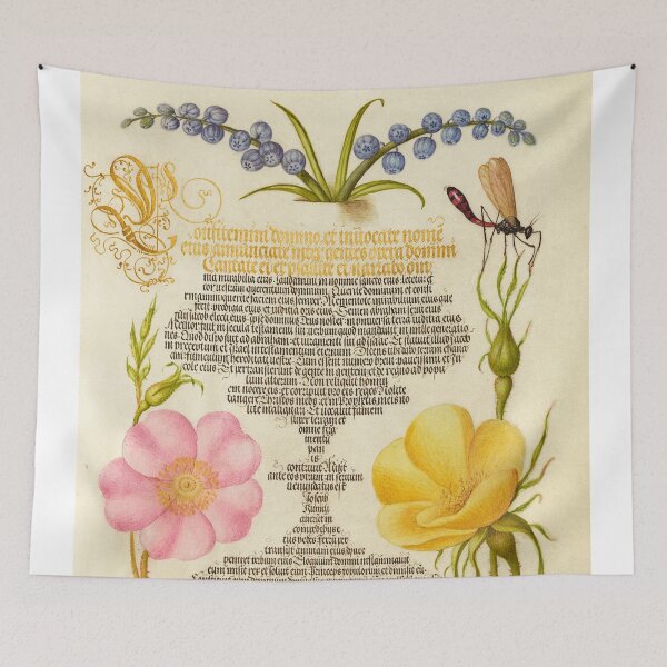 Item preview, Naturalist Manuscript Insects and Flowers Illumination: Grape Hyacinth, Wasplike Insect, Eglantine, Austrian Brier, and Magpie Moth  by Joris Hoefnagel  designed and sold by Naturalist Prints.